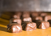 Dark Chocolate Enrobed Caramels 